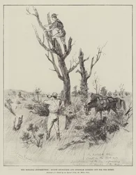 The Matabili Insurrection, Scouts Swinburne and Burnham looking out for the Enemy
